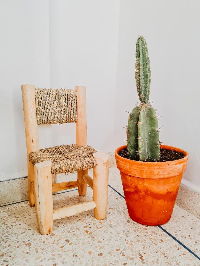 Cactus Surf House Hostel Tamraght Екстериор снимка